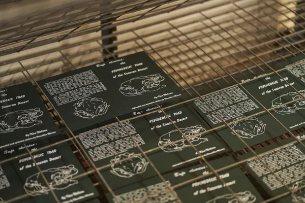 Bufo Alvarius Pamphlet and Merch