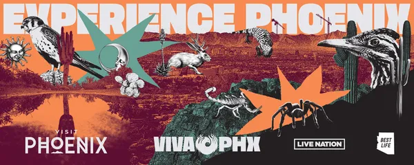 VIVA PHX 2024 Identity