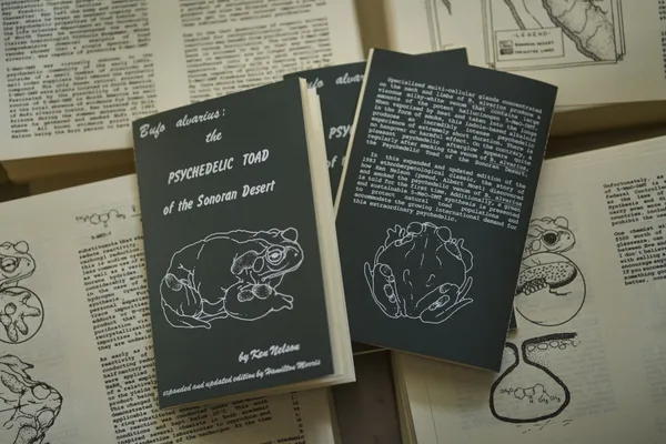 Bufo Alvarius Pamphlet and Merch