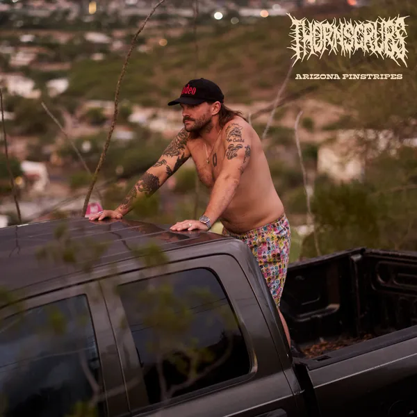 Arizona Pinstripes Album Artwork 